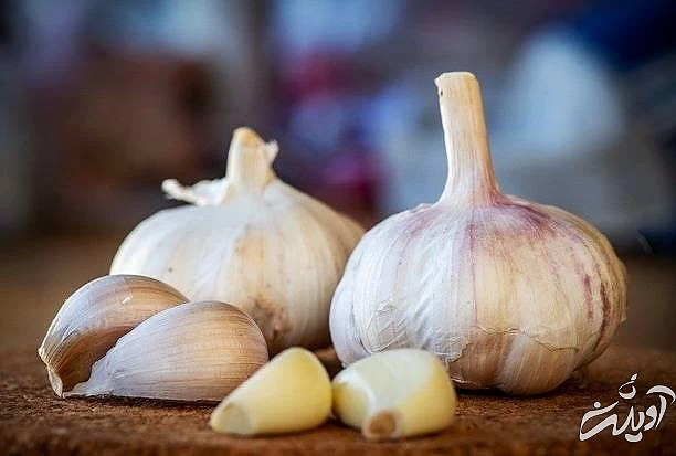 استفاده از سیر 